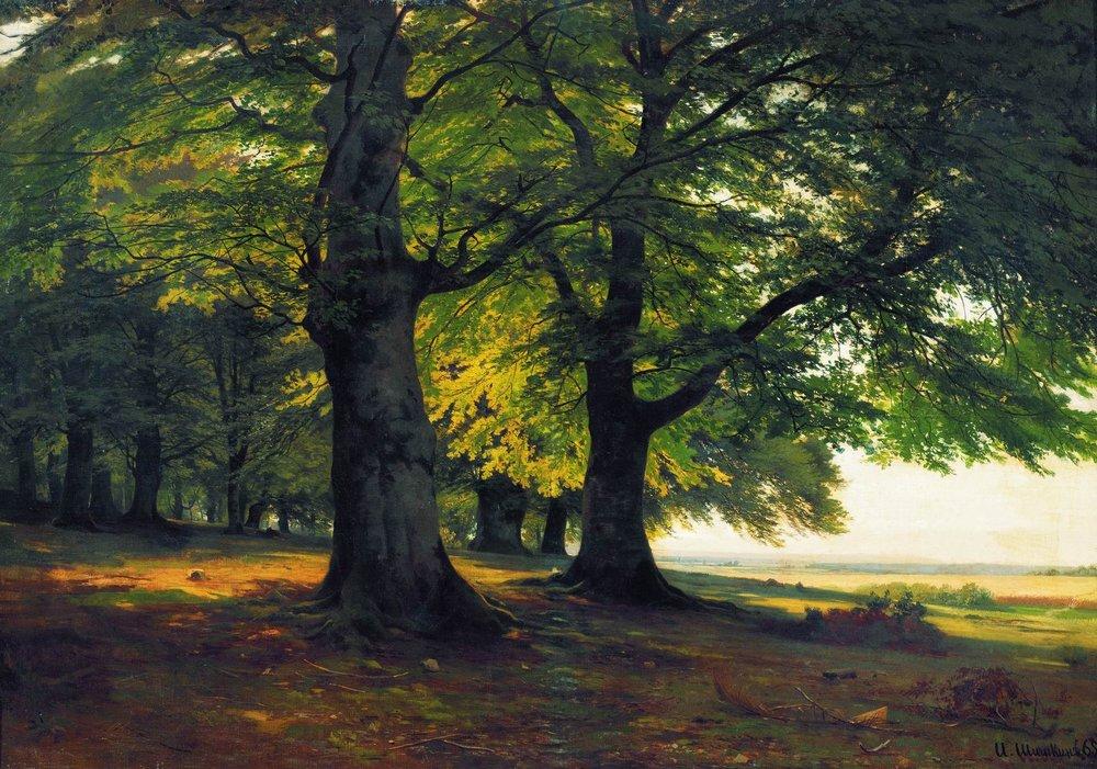 a painting of a lush green forest with tall trees. the sun is shining from the right, casting long shadows across the ground. the trees in the foreground are illuminated by the sun, while those in the background are darker. the ground is covered in leaves and twigs. there is a clearing in the distance, revealing a field and a body of water.