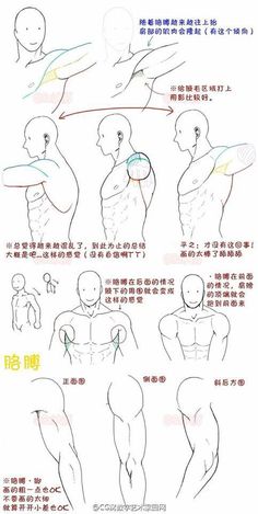 a drawing tutorial shows how to draw male arm muscle from different perspective and motions.