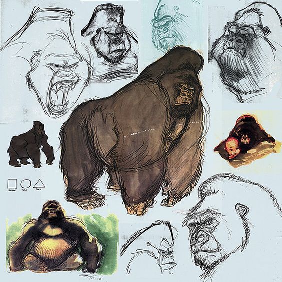 a series of sketches and drawings of gorillas on light blue paper. the drawings depict the gorillas in various poses and expressions, showcasing the artist's exploration of the animal's anatomy and character. the sketches are done in pencil, pen, and watercolor.