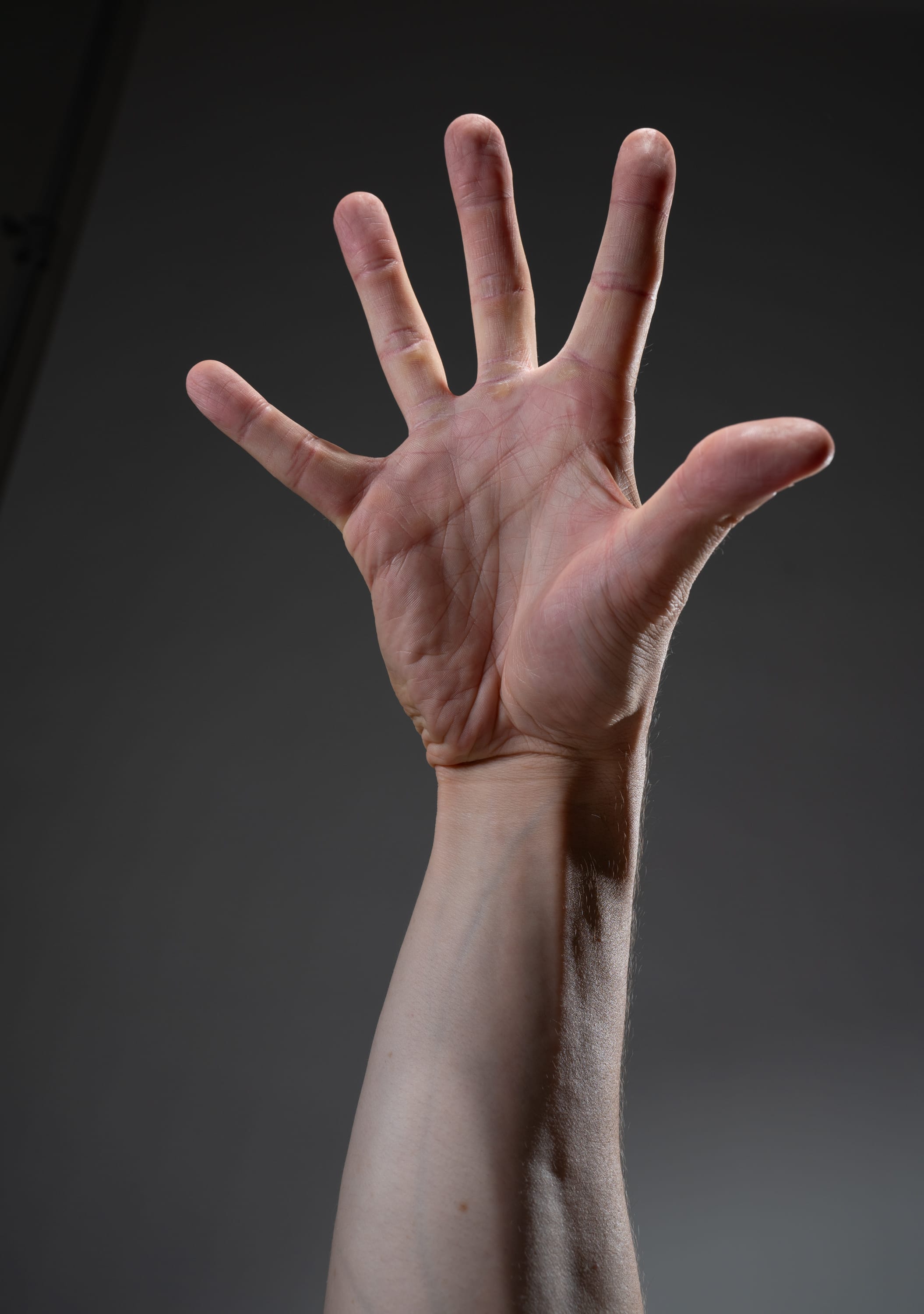 a left hand is extended upward against a gray background. the hand is open, with the fingers spread apart. the light source is coming from the upper left, creating highlights on the hand and shadows on the background.