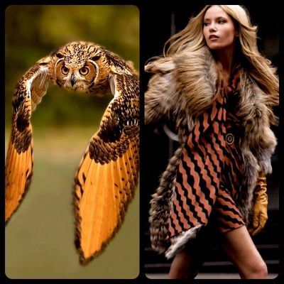this split image features an owl on the left side and a fashion model on the right. the owl is in midflight with its wings spread wide. the model is wearing a long, brown fur coat with black stripes. both images are photographed in a similar color scheme of brown, orange, and black.