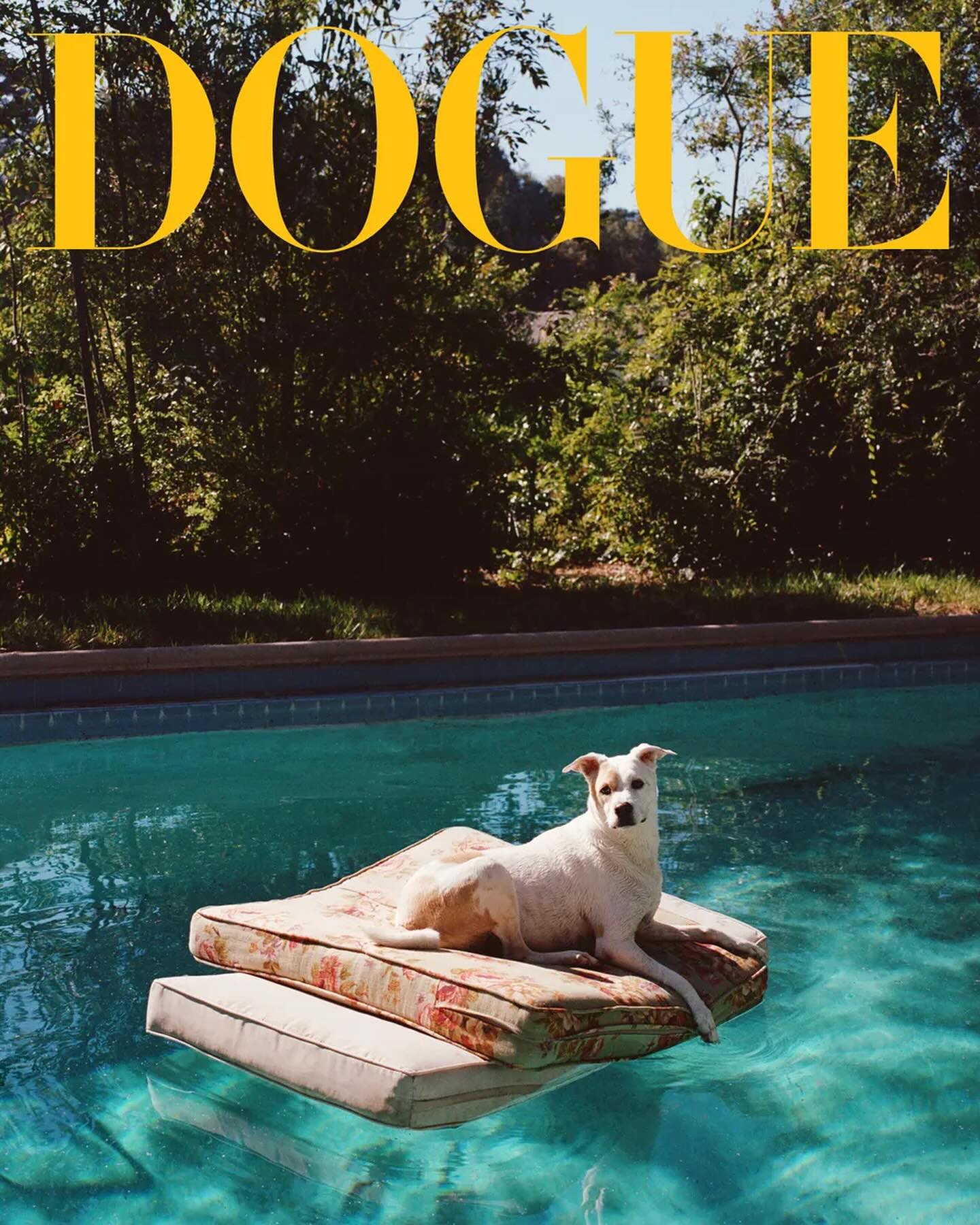 a playful image depicting a white dog lounging on a floral patterned cushion that floats on a swimming pool. the background shows lush greenery and the text "dogue" is superimposed on the image in yellow, mimicking the vogue magazine style. the overall mood is summery, relaxing, and luxurious.