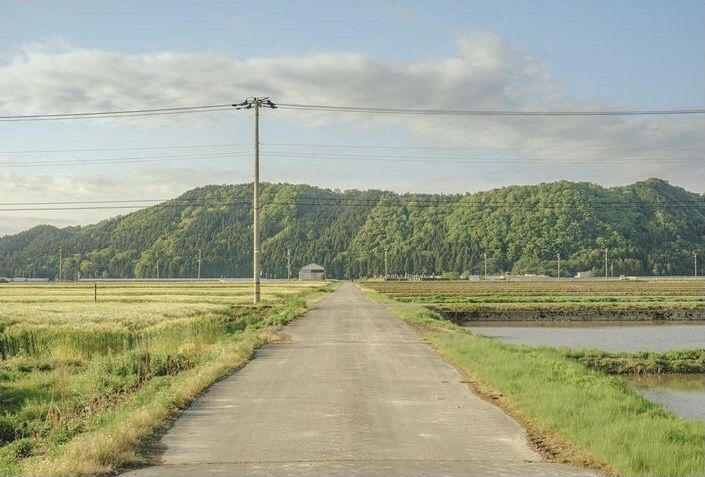 the image shows a long concrete road stretching towards a green, treecovered mountain under a slightly cloudy sky. fields of grain and waterfilled rice paddies are visible on either side of the road, with green grass and weeds along the edges. an electricity pylon stands on the left side of the road.