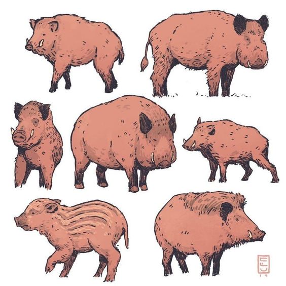 the image is a drawing of seven wild boars in various positions. the boars are all pink with brown outlines. there is green grass underneath two of the boars.