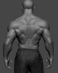 the image showcases the detailed musculature of a man's back, illuminated by studio lighting against a neutral gray background.  the focus is on the definition and development of the back muscles, highlighting the intricacies of human anatomy.