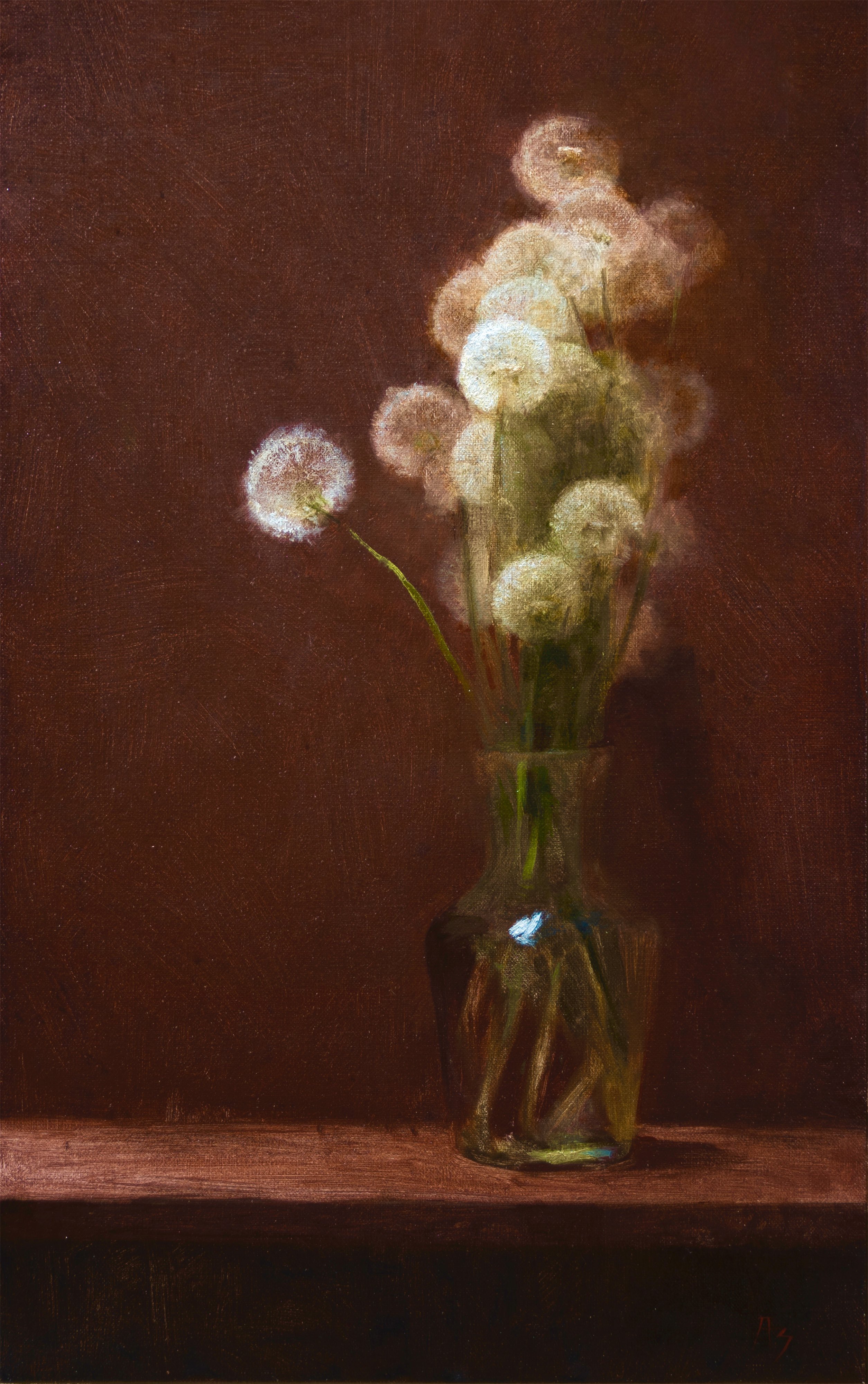 a closeup oil painting depicts a still life arrangement featuring a glass vase filled with several dandelion flower heads, each having gone to seed and showing their fluffy white seed heads. the vase is clear glass, allowing the stems of the dandelions to be seen. the background is a deep, rich brown, creating a contrast against the lighter shades of the dandelion seeds. the painting style is realistic, focusing on the texture and subtle light within the scene. the overall feel is calm and muted. the vase sits on a dark brown surface, which adds to the depth of the image.