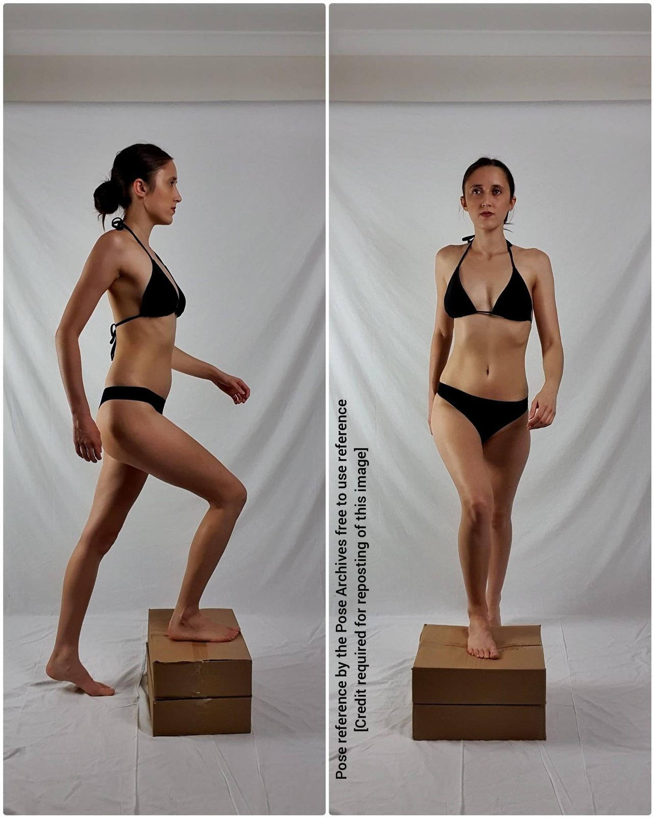 a woman in a black bikini is shown in two poses against a plain white background. she is standing on a brown cardboard box, in one image she is midstep with her right foot on the box, and in the other, she is facing forward with her left foot on the box.  the lighting is soft and diffused.  there is text on the image stating that it is a pose reference and credit is required for reposting.