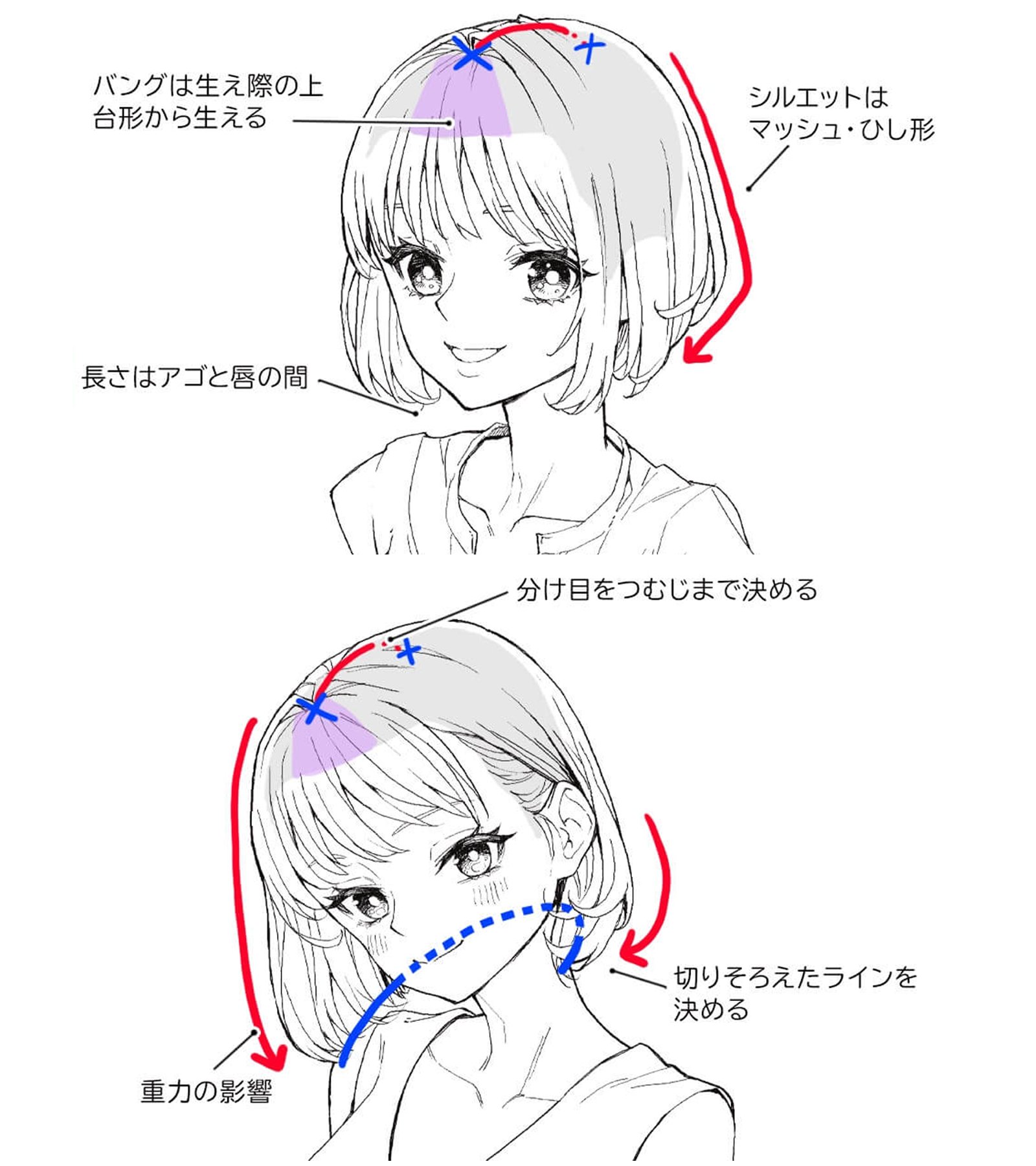 he image is a tutorial on how to draw an animestyle bob haircut. it shows two stages: the first shows how to establish the overall shape and placement of the bangs and hair, and the second shows how to refine the shape and add details.  the steps are clearly labelled in japanese with translations provided.  the images are line drawings with some color coding to highlight important areas.