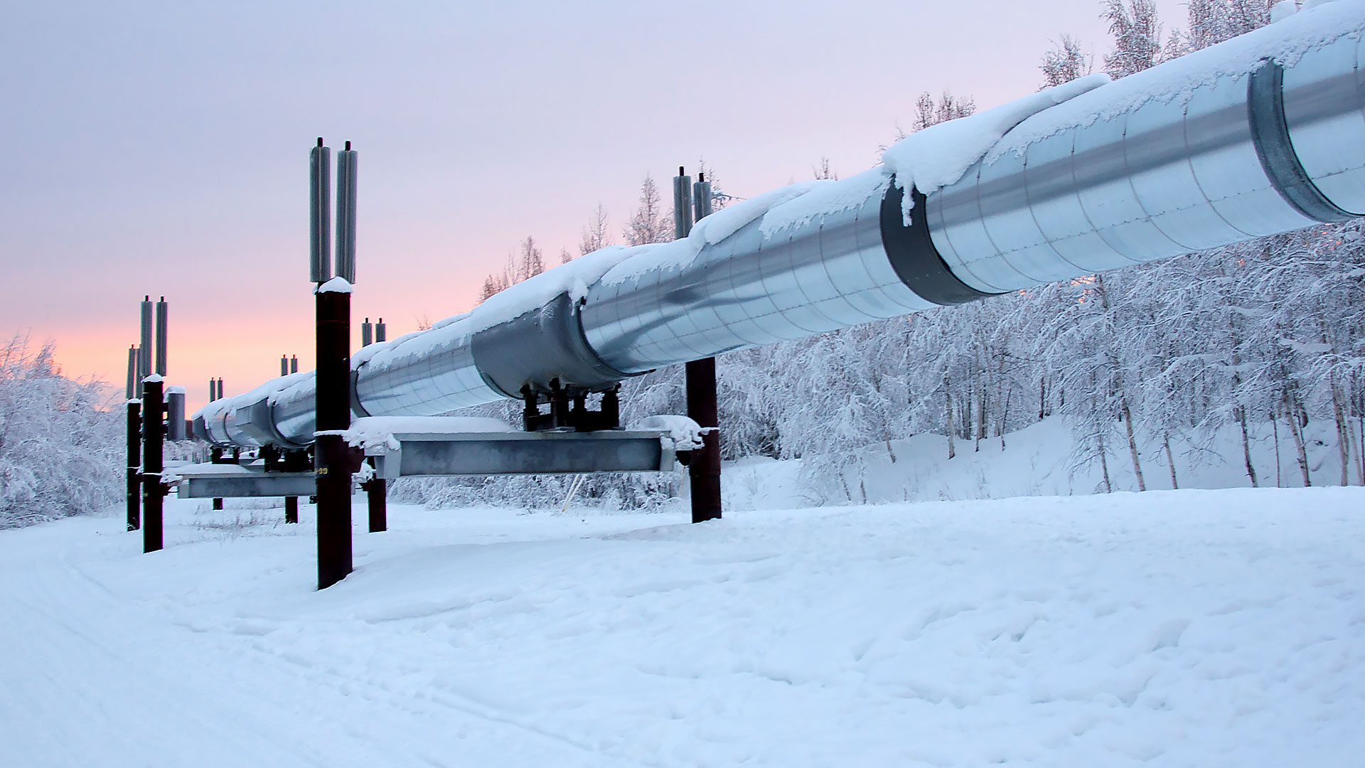 a large metal pipeline stretches across a snowy landscape. the pipeline is supported by metal struts and is covered in snow. there are trees in the background, also covered in snow. the sky is a soft pink and blue, indicating a sunset or dusk. this image depicts a scene from the alaskan wilderness, showcasing the infrastructure that supports the transportation of natural resources.  the image could represent the environmental impact of industry and the challenges of working in a harsh climate.