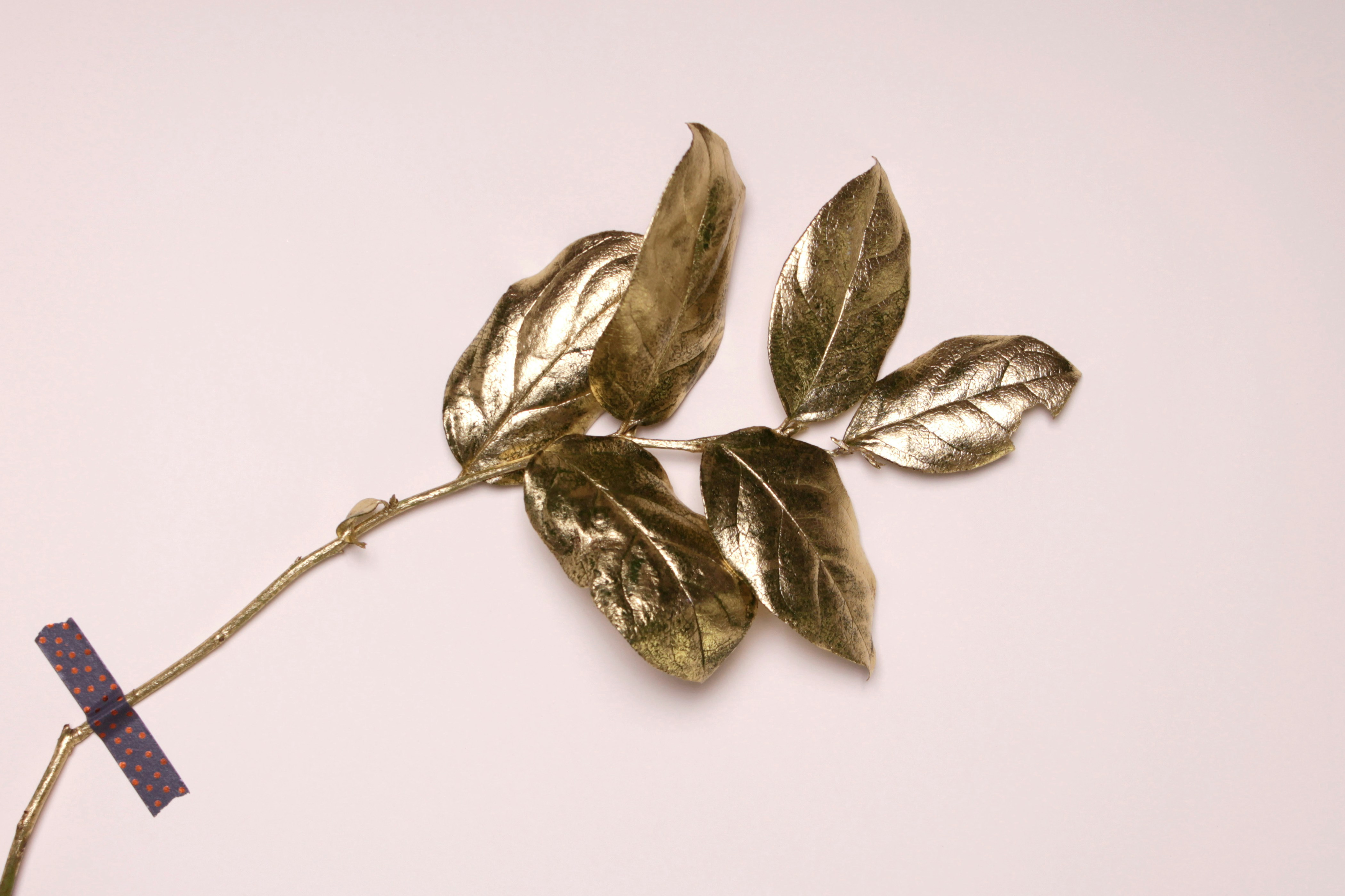 a plant stem with leaves painted gold is laid on a white surface. the stem is secured to the surface with a piece of patterned tape.