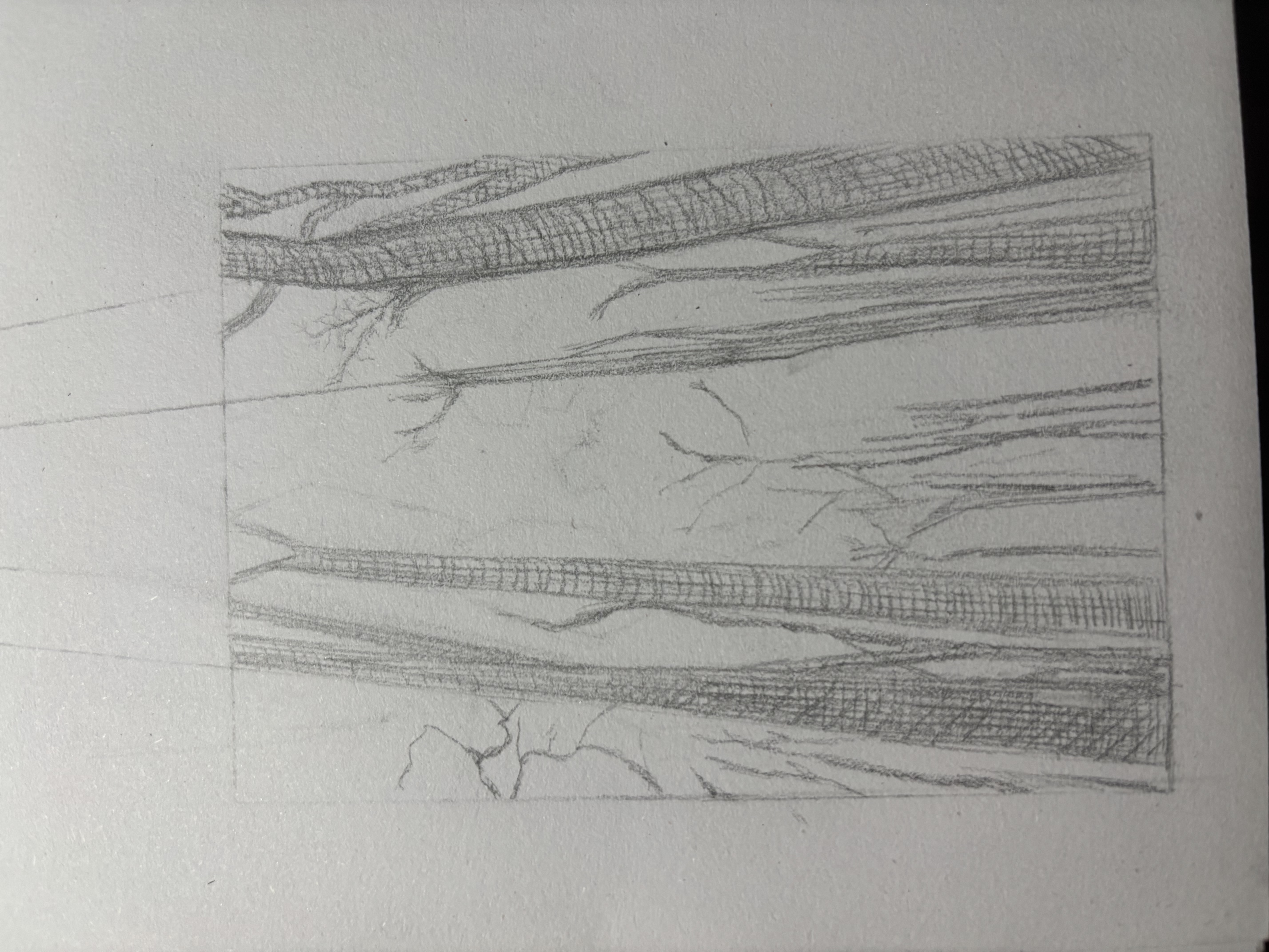 a pencil sketch of a forest scene. the drawing is a vertical composition of tall trees with bare branches reaching upwards. light rays stream down through the gaps in the canopy. the tree trunks are textured with shading.