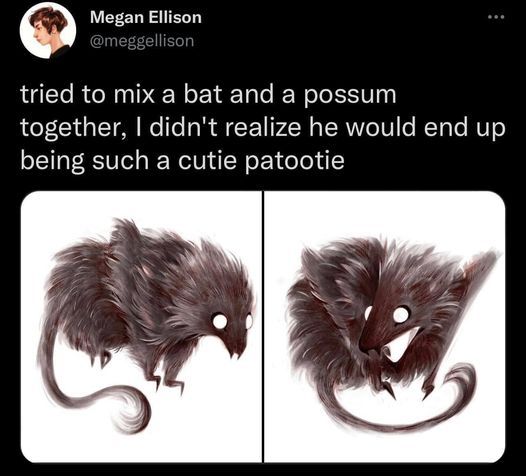 the image is a tweet from megan ellison (@meggellison) stating she tried to mix a bat and a possum together and the resulting creature was unexpectedly cute. below the tweet are two illustrations of the fictional creature, a furry animal with features reminiscent of both bats and possums, with large, glowing eyes.