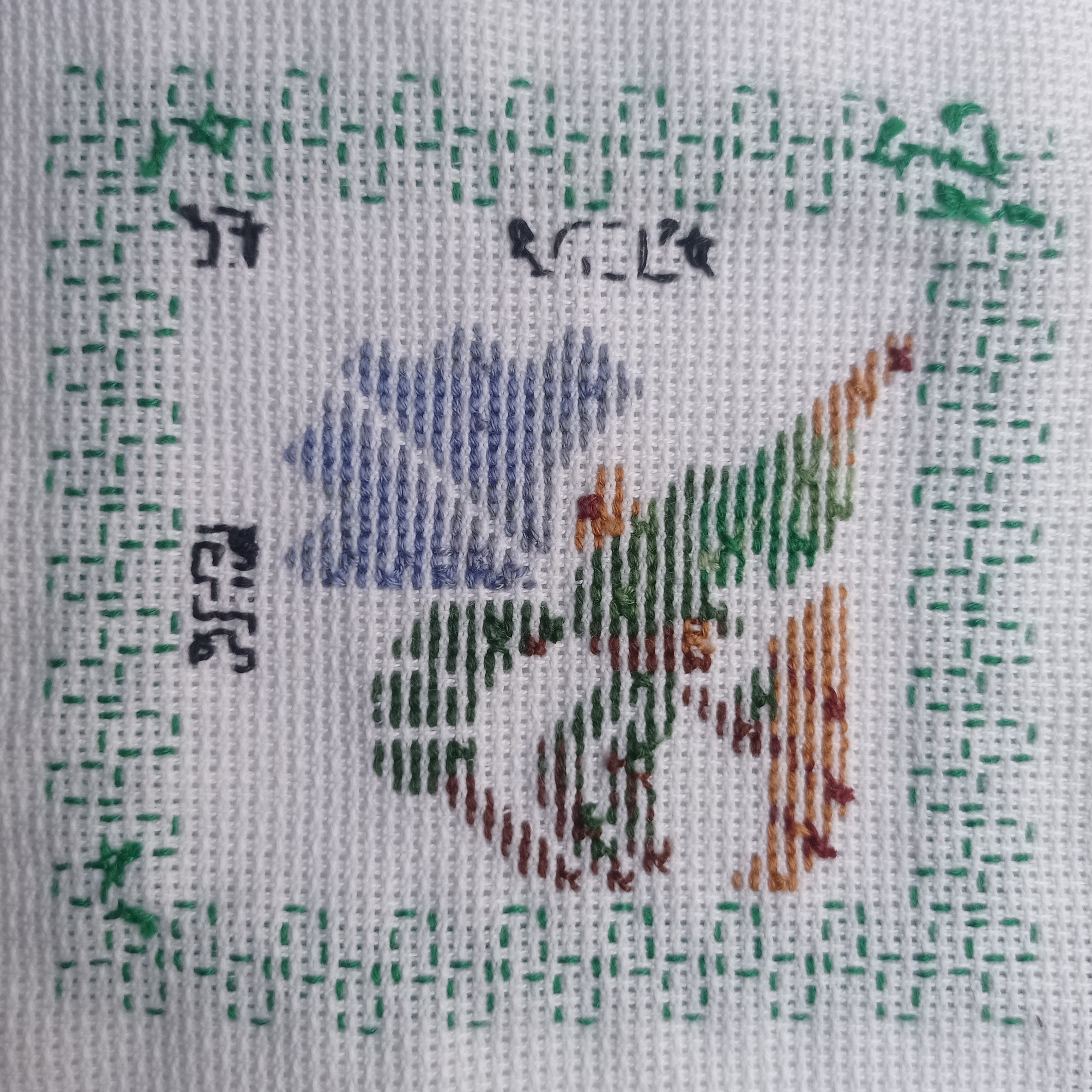 a closeup shot of a crossstitched floral design on white fabric. the design features a green, brown, and blue flower with a green border. the fabric is a white aida cloth that is commonly used for cross stitch.