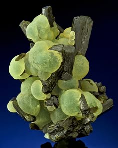 a closeup of a yellow and green mineral with black crystals. it appears to be a botryoidal formation. the mineral specimen is illuminated from above, revealing its texture and shape. the background is a rich blue color that provides a contrast to the mineral's bright colors.