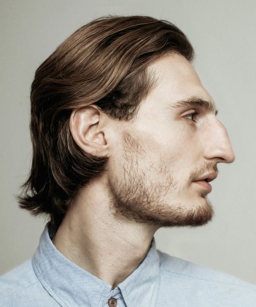 a profile shot of a man with light brown hair, a beard, and a blue shirt, against a neutral background.