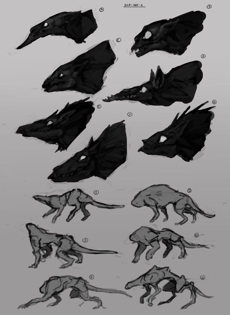 this is a sketch of different monster designs. the designs include different heads, bodies, and limbs. the monster heads are all drawn in a dark silhouette style. the bodies are drawn in a more detailed, but still sketchy style. there are also different stages of evolution drawn for the monster. all are drawn on a grey paper background, in a style that looks like a pencil or ink drawing.