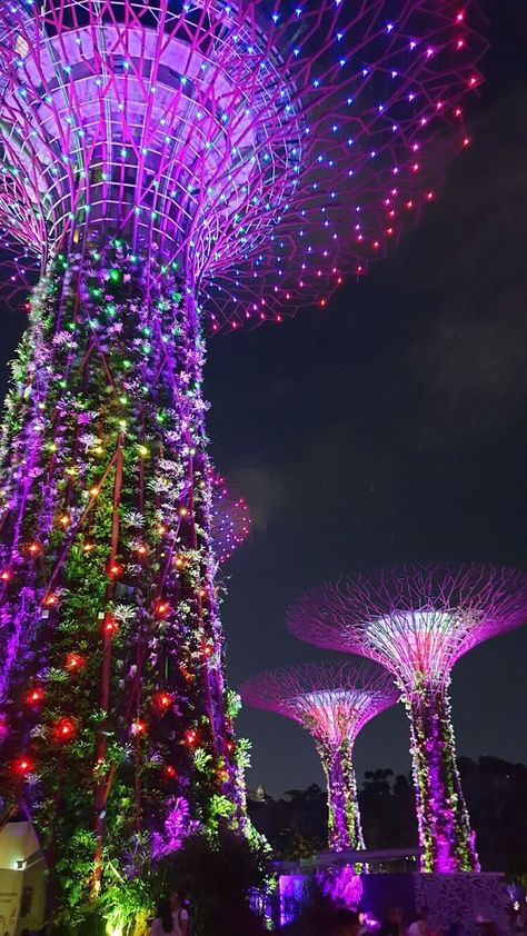the image showcases the supertree grove at gardens by the bay in singapore at night. the supertrees, tall artificial trees with intricate structures, are brilliantly illuminated with a vibrant array of purple, pink, green, and red led lights.  the lighting creates a stunning and otherworldly atmosphere.  the image captures the details of the light displays and the lush vegetation integrated into the structures.  other supertrees are visible in the background, smaller in scale, contributing to the overall breathtaking nighttime spectacle. the scene is a popular tourist destination known for its futuristic and botanical blend.