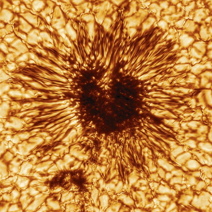 the image shows a detailed closeup of the sun's surface, specifically focusing on a sunspot and the surrounding granulation.  the sunspot appears as a dark, relatively cool area, surrounded by a radiating pattern of bright and dark granules. these granules are the tops of convection cells in the sun's photosphere, where hot plasma rises and cool plasma sinks, creating a textured appearance. the overall color palette is warm, ranging from light gold to deep browns and dark oranges, reflecting the intense heat and plasma activity on the sun's surface. the image is of high resolution, showcasing intricate details of the solar features.