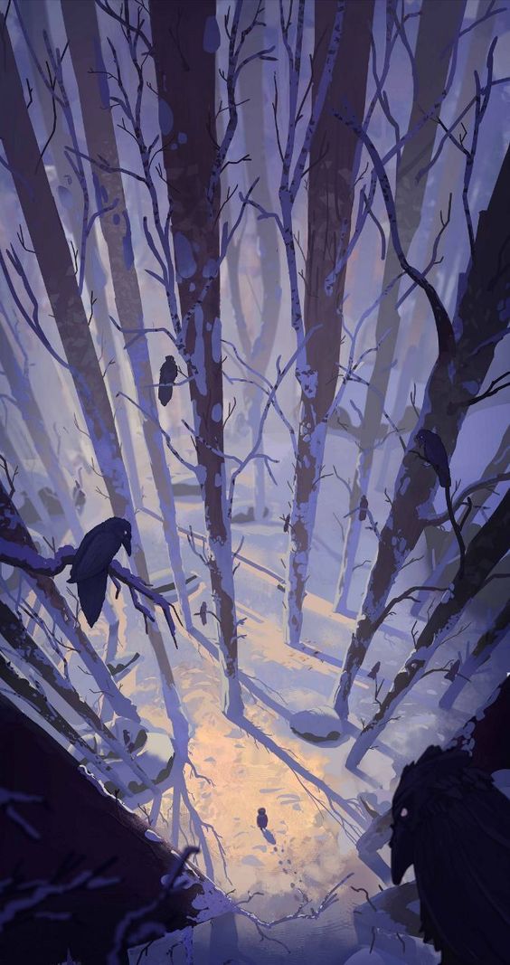 the image showcases a serene winter forest scene viewed from above. tall, slender trees, stripped bare by winter and dusted with snow, dominate the composition. their branches intertwine overhead, creating a network of delicate lines against the fading light. a narrow path, touched by the golden hues of the setting sun, winds its way through the trees. several black birds, possibly crows or ravens, perch on the branches, adding to the tranquil yet slightly eerie atmosphere. the overall palette is cool and muted, dominated by blues, purples, and grays, which enhance the sense of quiet solitude.