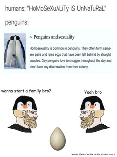 this image is a meme that