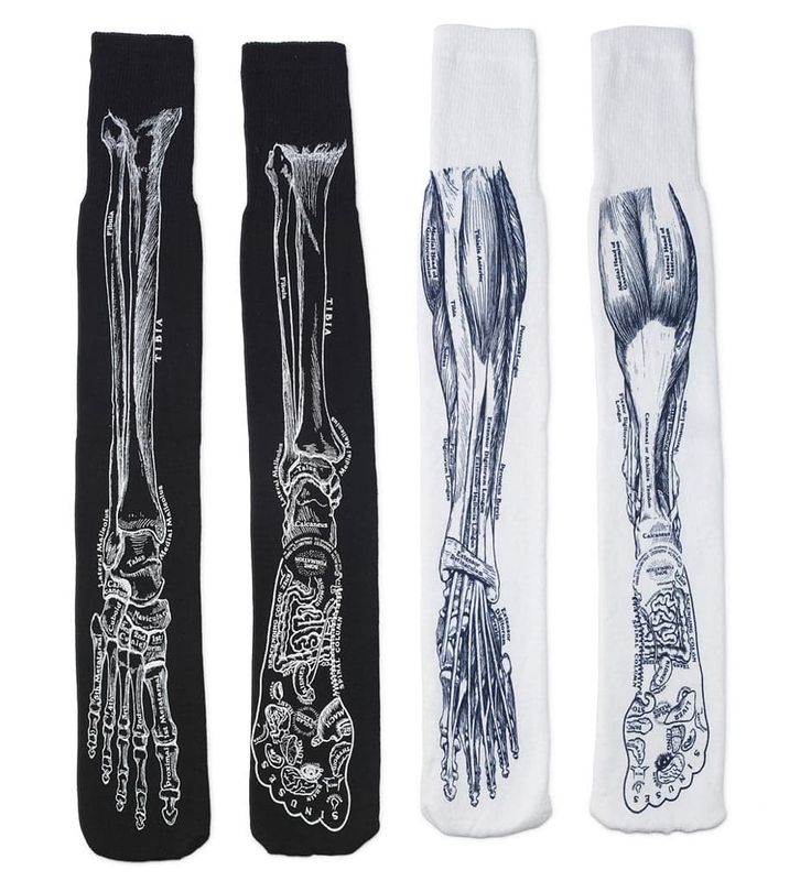 the image shows four socks, two black and two white, each printed with anatomical illustrations of the human foot, ankle, and lower leg. the black socks feature skeletal illustrations, while the white socks display musculature. the illustrations include labels identifying the different bones and muscles. the socks are arranged sidebyside.
