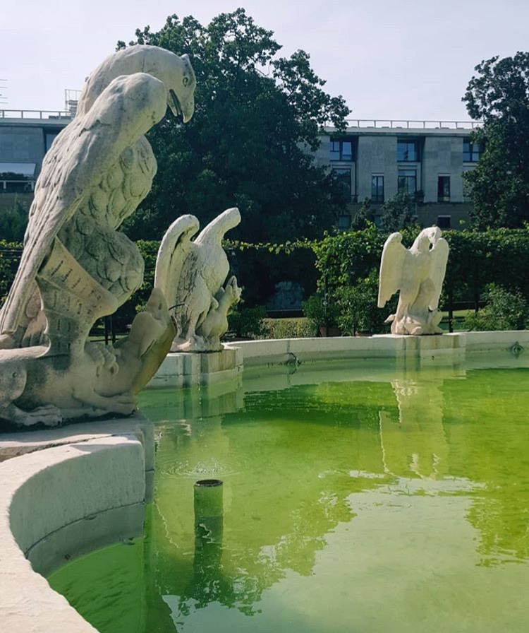 the image shows a fountain with green water and several stone eagle sculptures. the sculptures are arranged around the edge of the fountain. a building and trees are visible in the background. the scene appears to be a park setting on a sunny day.