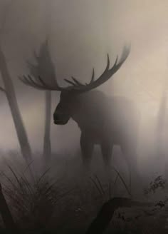 a silhouette of a moose with large antlers stands in a misty forest. the fog obscures much of the animal, creating a mysterious and ethereal atmosphere. the surrounding trees and vegetation are also shrouded in mist, adding to the sense of depth and seclusion. the overall tone of the image is dark and shadowy, emphasizing the beauty and wonder of the natural world.