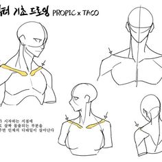 the image is a drawing tutorial on how to draw the clavicle for both male and female figures. it showcases different angles and perspectives of the clavicle bone structure in relation to the neck and shoulders.