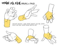 the image is a hand drawing tutorial. it shows different hand poses and gestures with highlighted areas. the text is in korean.