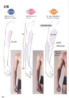 this image is of a drawing page, featuring three different male arm studies. the page shows the arms from both frontfacing and sideview perspectives, and labels different muscle groups.```