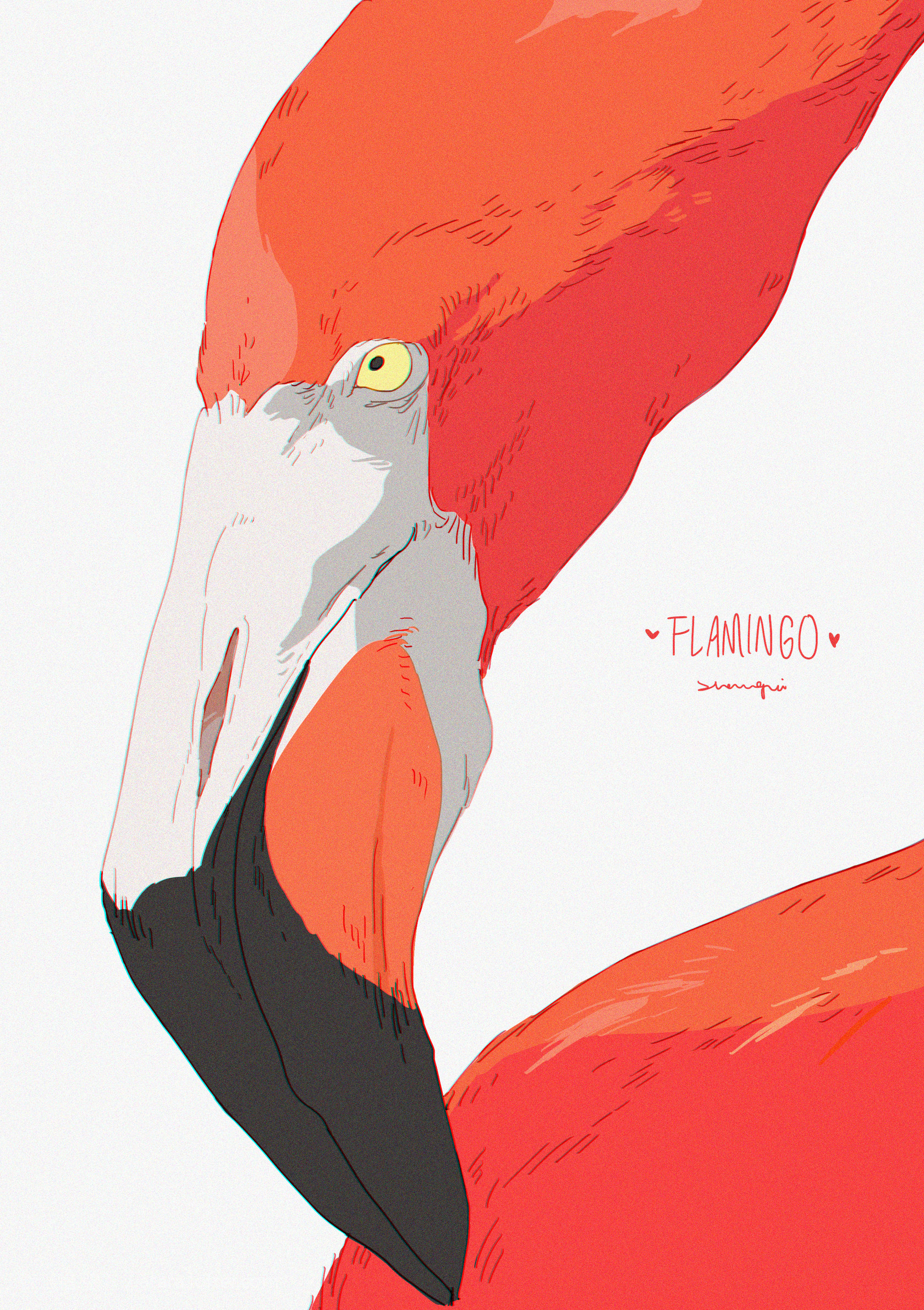 this is a vibrant illustration of a flamingo's head. the bird is facing slightly towards the right, with its beak extended towards the viewer. the flamingo's feathers are a bright pink color, and its beak is a darker, more muted shade of pink. the illustration is done in a cartoon style with exaggerated features, and the background is a plain white. the image features text that reads "flamingo" in a cute, handdrawn font, with two pink hearts surrounding the word. this image is a colorful and whimsical illustration that would be perfect for children's books, posters, or other creative projects.