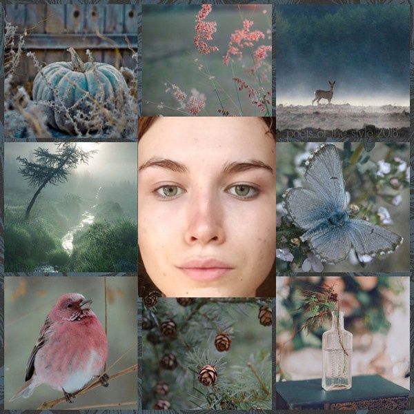 this collage consists of several images in a grid format. there are multiple pictures of nature including: flowers, trees, a creek, pine cones, a deer, a butterfly, and a bird. the image also features a woman's face in the middle of the collage and a bottle sitting on a table. the images are in a muted colour pallete with a blue and green undertone. this collage is a mix of natural elements and portraits, and the subdued colour palette creates a calm, wistful feeling.