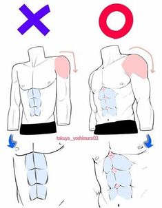 the image is a drawing tutorial demonstrating the correct way to draw male torso muscles. the drawing on the left is crossed out, indicating an incorrect approach, while the drawing on the right has a circle, marking it as the correct method. the tutorial focuses on the flow and placement of muscle groups, using arrows to highlight the direction and shape. it includes simplified depictions of the torso from the front view, both with and without clothing.