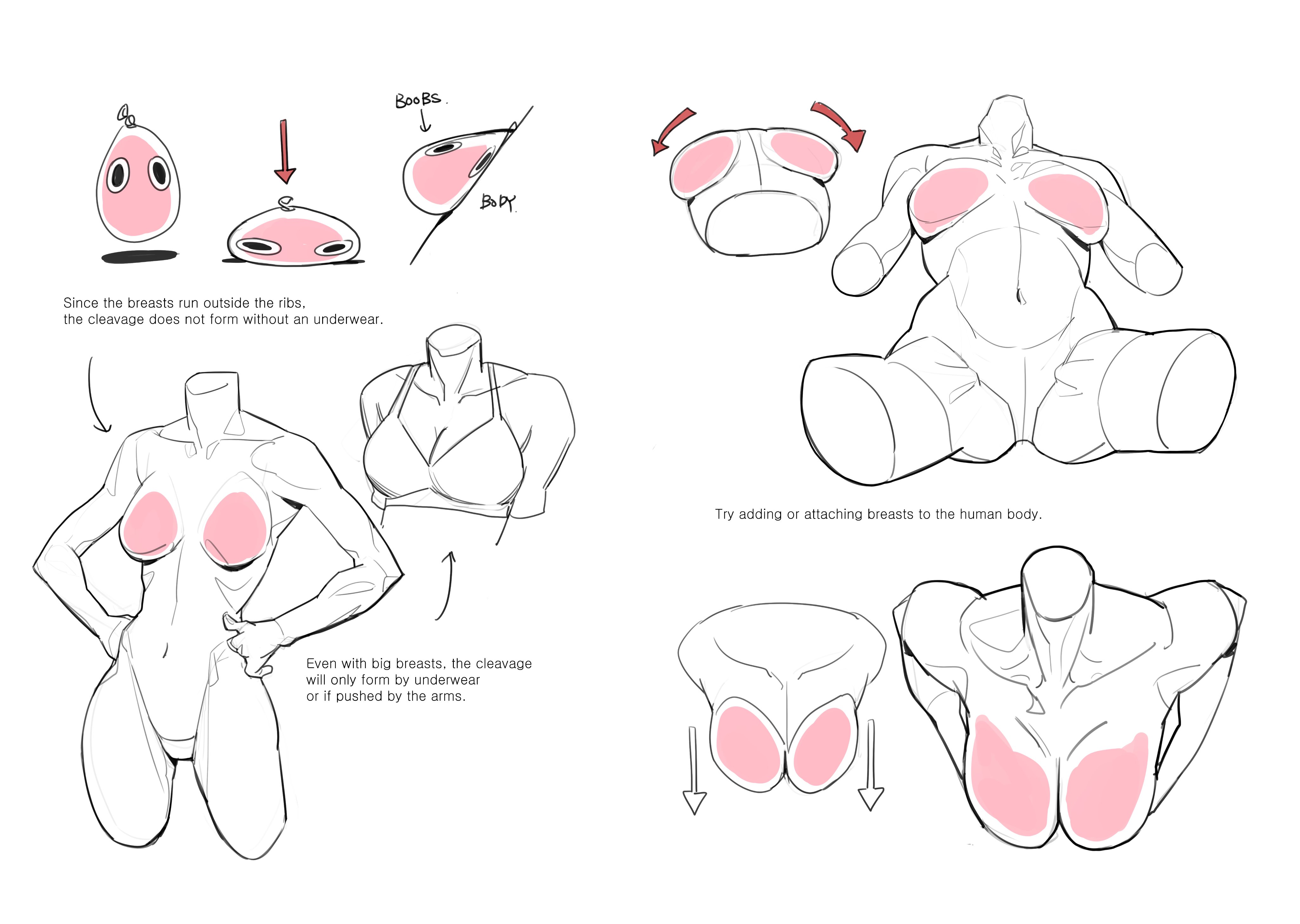 he image is a drawing tutorial demonstrating how to draw female breasts in different poses and with varying breast sizes.  the tutorial uses simplified shapes and diagrams to illustrate how breasts sit on the ribcage and how the formation of cleavage is affected by the presence or absence of underwear and the position of the arms.  various stages of adding breasts to a body are shown, helping the artist to understand how they attach to the torso and affect the overall body shape.  the style of the drawings leans towards anime/manga but the anatomical principles are applicable to various drawing styles.