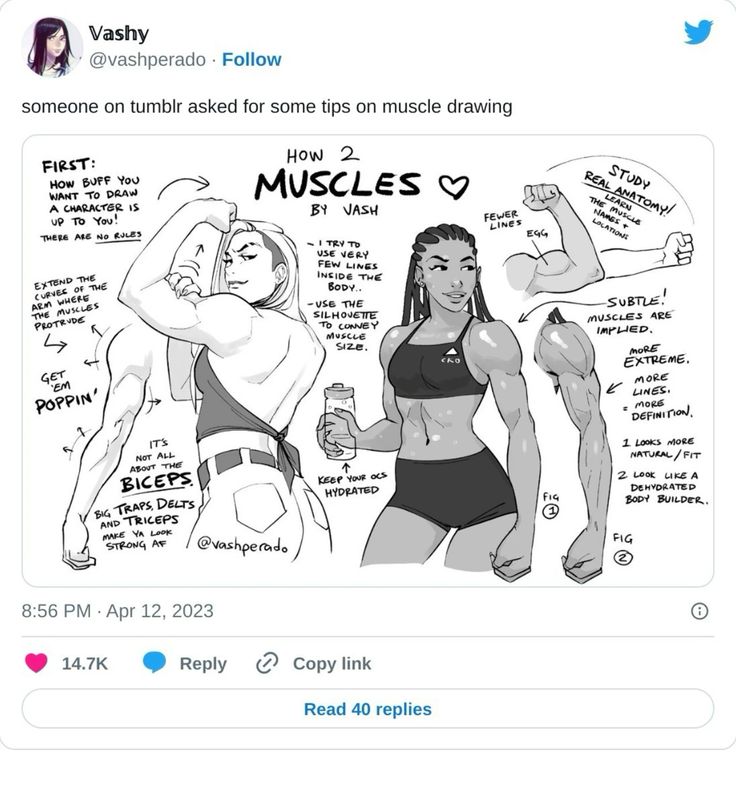 this is a digital art tutorial image posted on twitter by the artist vashy (@vashperado).  the tutorial provides tips on how to draw muscles on characters, ranging from subtle to more extreme muscle definition.  it includes two example figures demonstrating different levels of muscularity and emphasizes the importance of studying real anatomy. the tutorial also suggests focusing on the silhouette and using fewer lines to convey muscle size.  additional tips include extending the curves of the arms where muscles protrude and highlighting big traps, delts, and triceps to create a strong look.  the post has received 14.7k likes and 40 replies.