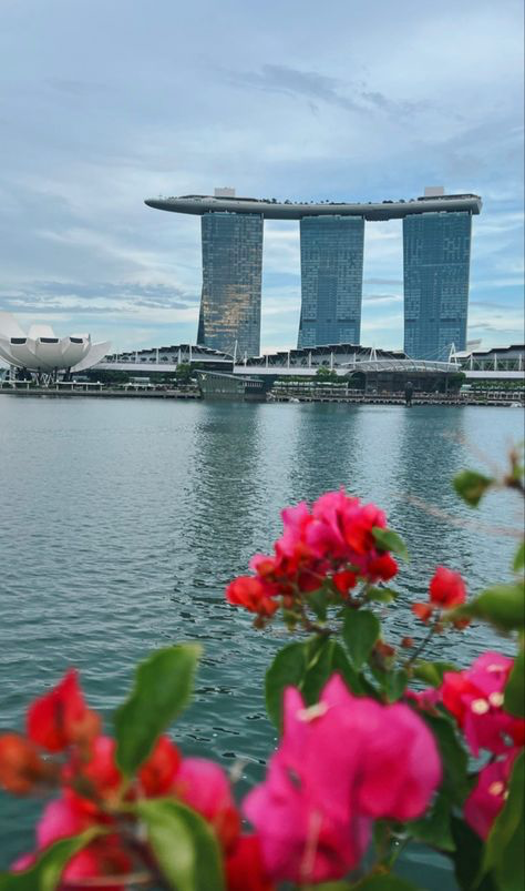 a photo of the marina bay sands in singapore, viewed from across a body of water.  in the foreground, vibrant pink bougainvillea flowers are in focus, partially obscuring the view of the iconic hotel. the sky is mostly cloudy.  the image conveys a sense of calm and serenity, juxtaposing the natural beauty of the flowers with the imposing architecture of the city.