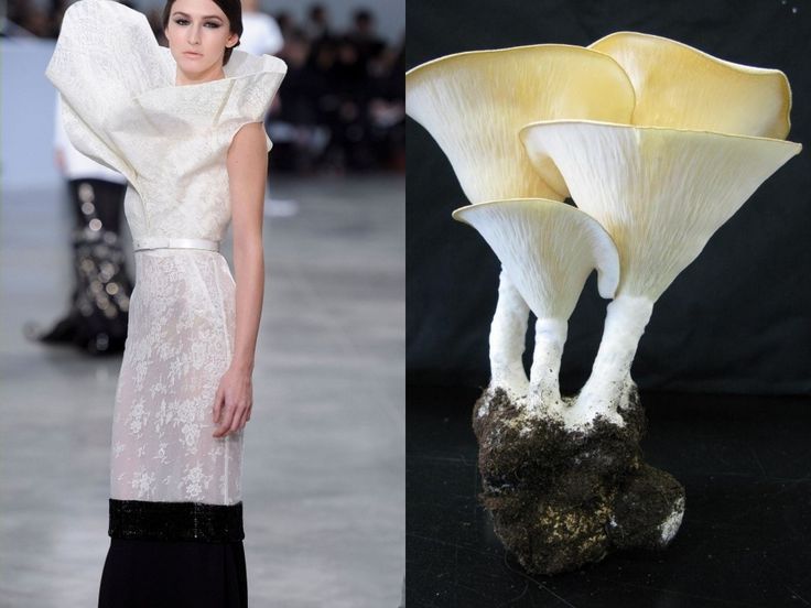 a model in a white lace dress with a black bottom walks on a runway. there is a cluster of mushrooms on the right side of the image.