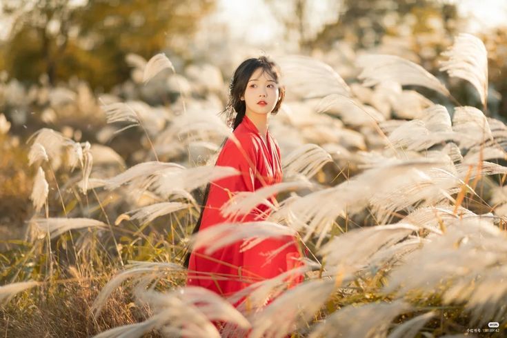the image is a portrait of a young asian woman, possibly of chinese, japanese, or korean descent, wearing a flowing red traditional dress (resembling a hanfu or kimono). she is standing amidst a field of tall, silverywhite pampas grass.  the setting sun casts a warm, golden light on the scene, creating a soft, atmospheric effect. the woman's expression is serene, and her gaze is directed away from the camera, adding to the peaceful mood. the overall style is elegant and visually appealing, with a focus on both the woman's beauty and the natural beauty of her surroundings.