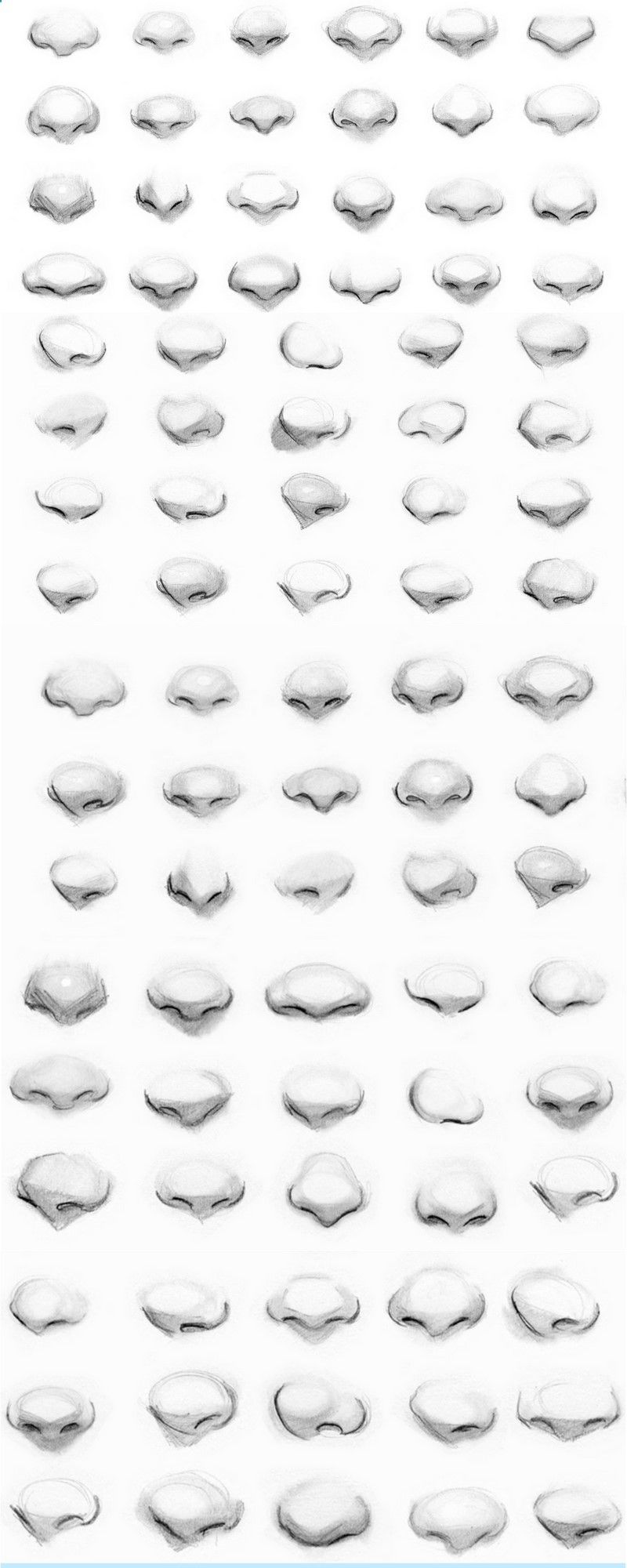 the image is a vertical arrangement of numerous nose sketches. they are all drawn in a realistic style with grayscale shading, offering different shapes and sizes. it appears to be a reference guide for artists learning to draw various nose types.