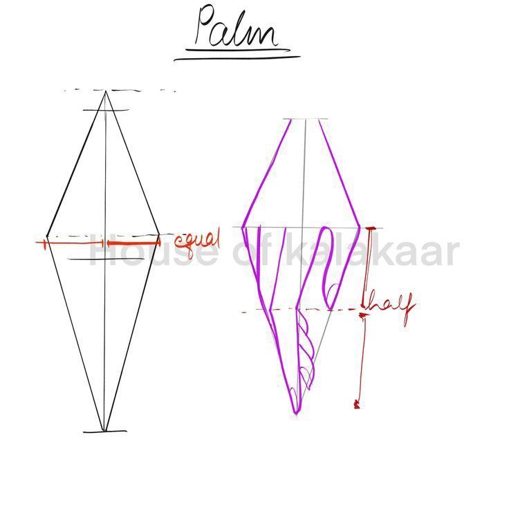 the image shows a diagram illustrating how to draw a palm. on the left, a black diamond shape is constructed with a vertical line down the middle and horizontal lines indicating points of measurement. the right side shows a purple drawing of a hand, with the fingers curving within the diamond shape. red annotations provide guidance, noting areas that should be "equal" and indicating that the finger length is approximately "half" the total diamond height. "palm" is written in cursive at the top of the image.