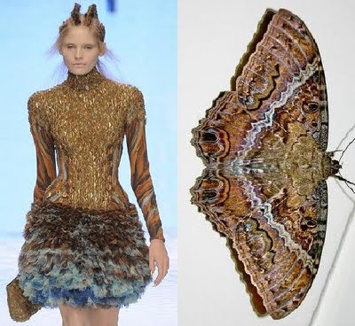 the image is a split image with a model wearing a unique and colorful fashion design on the left side. on the right side is a close up of a moth's wings. the moth's wings are brown, black, and white, with a beautiful pattern that is reminiscent of the model's dress. the image is a beautiful example of the inspiration that nature can provide for fashion design.