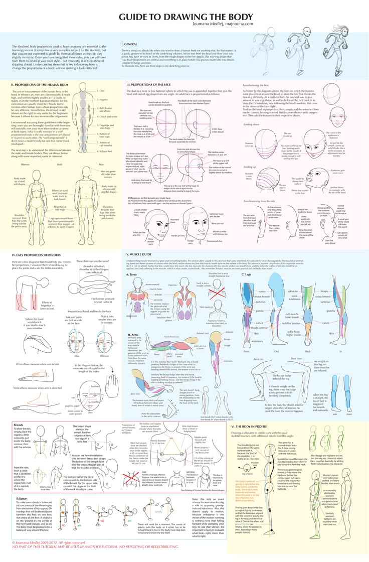 this image is a comprehensive guide to drawing the human body, covering various aspects such as proportions, facial features, limb structure, muscle anatomy, balance, and posture. it provides visual diagrams and guidelines for artists to learn and improve their figure drawing skills. the guide includes sections on general principles, proportions of the human body and face, cast proportion reminders, muscle guide for the torso, arms, and legs, and considerations for drawing the body in profile. it offers insights into male and female differences, perspective techniques, and dynamic poses. the image serves as a helpful reference for understanding the human anatomy and creating accurate and expressive figure drawings.