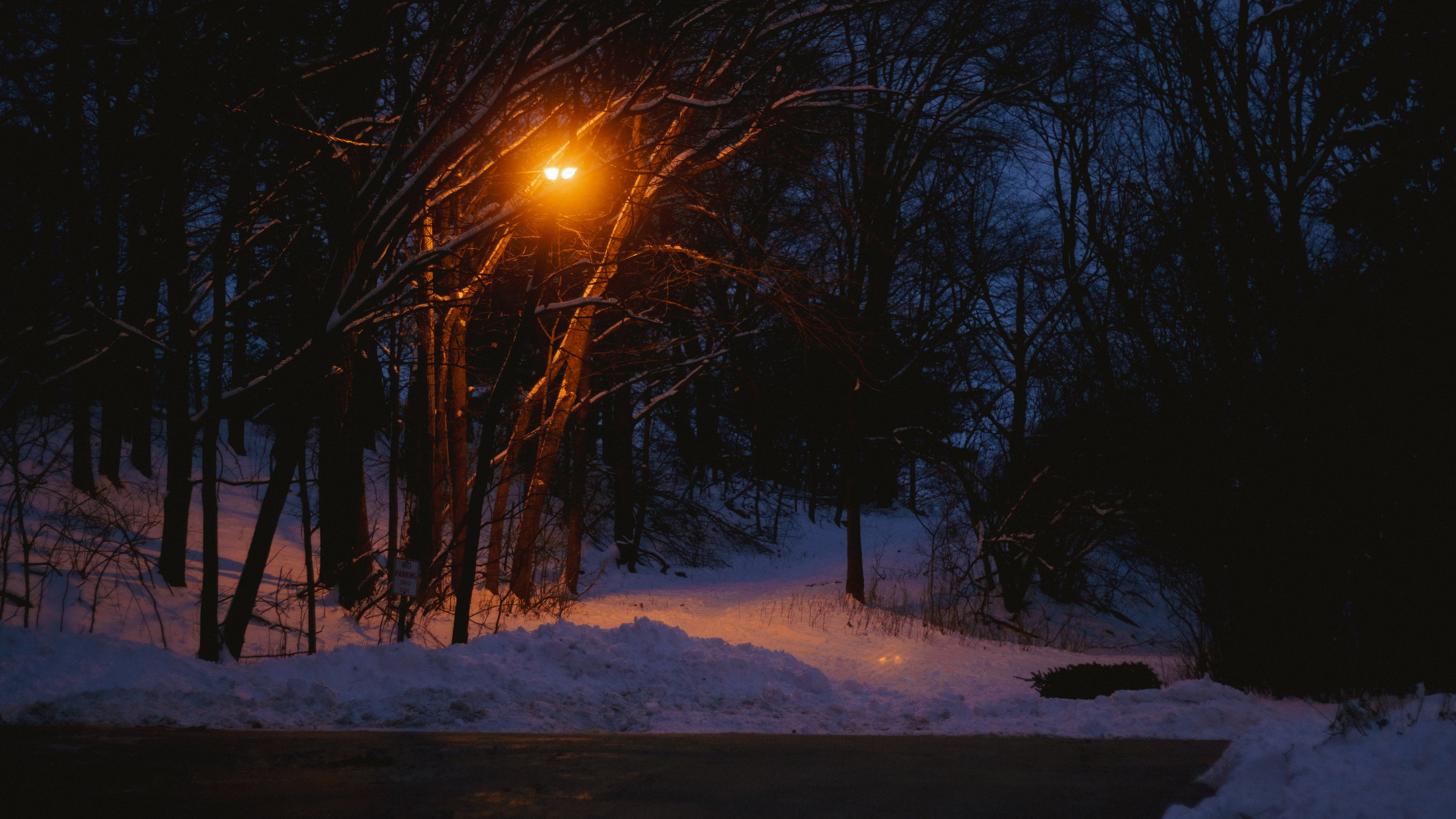 a winter scene at night shows a street illuminated by a streetlight, with snowcovered trees and a road in the foreground. the sky is a deep blue, and the overall tone is dark and peaceful.
