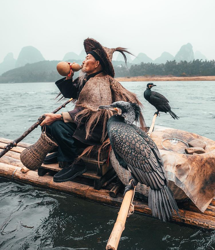an elderly fisherman in traditional clothing sits on a bamboo raft on the li river in guilin, china. he is drinking from a gourd, wearing a straw hat and cape, and holding a long pole. two cormorants are perched on the raft with him, used for traditional cormorant fishing. the background shows a hazy landscape of mountains and water.