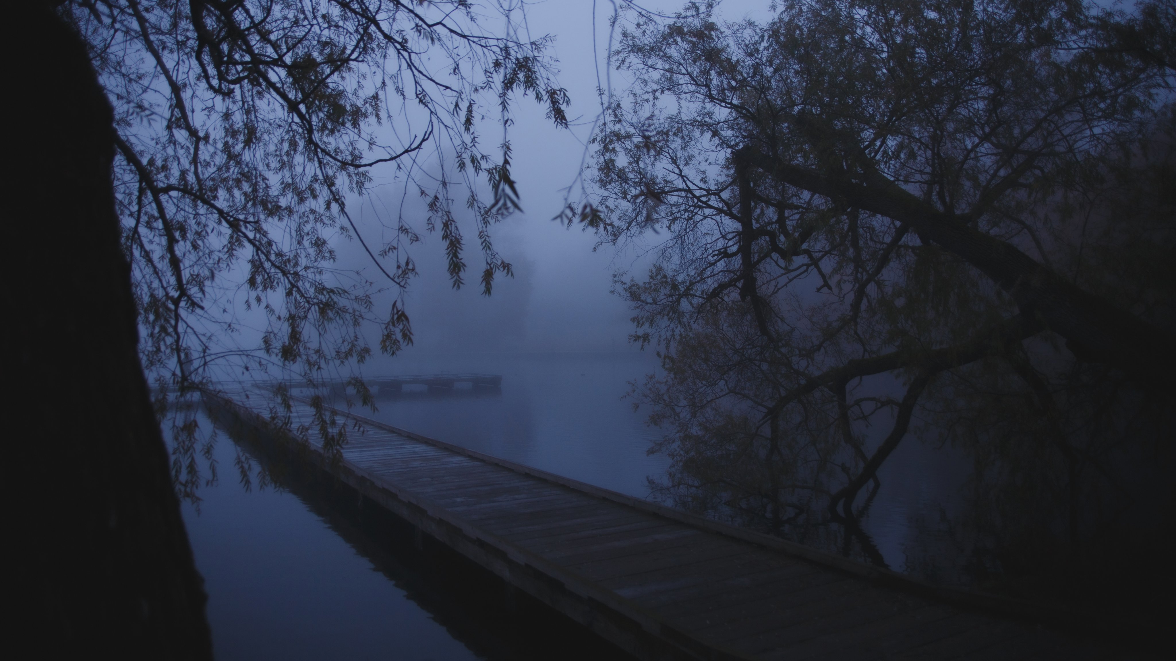 an eerie scene of a long wooden pier extending into a foggy lake, framed by dark trees and branches. the water reflects the overcast sky, enhancing the moody atmosphere.