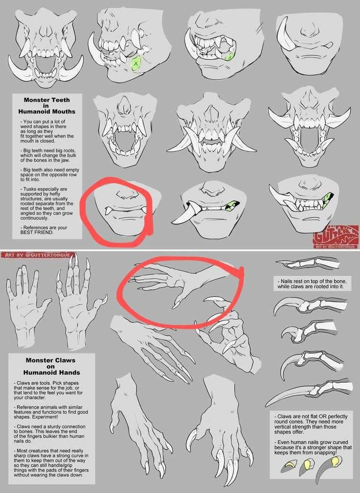 the image is a digital art tutorial depicting how to draw monstrous teeth and claws on humanoid characters. the top half focuses on various styles and shapes of teeth, explaining anatomical considerations like root size, jaw structure, and the placement of tusks.  the bottom half shows different claw variations on hands, discussing how claw shape relates to function and bone structure, including comparisons to human nails.  the tutorial uses clear line art and explanatory text to guide the viewer through the design process.  each example is clearly labeled and explained.