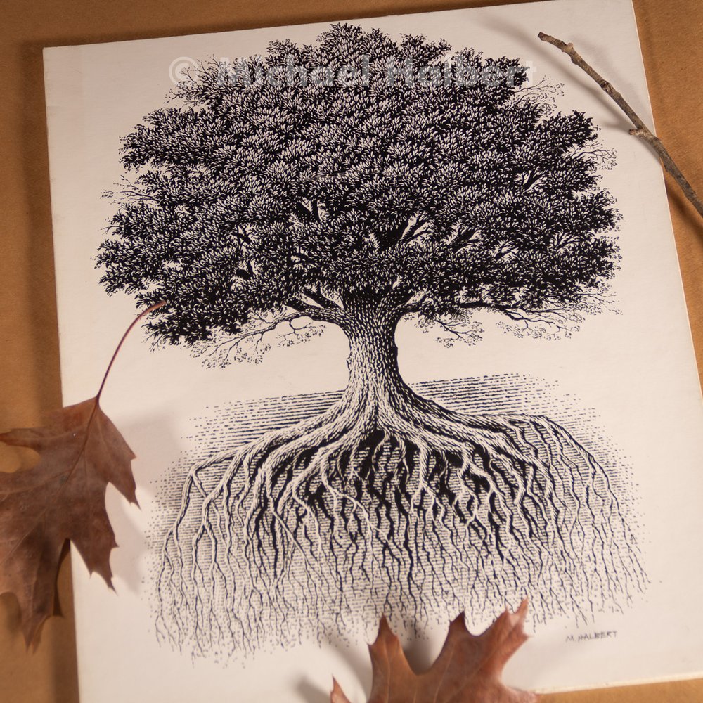the image is a black and white drawing of a large oak tree, depicting its extensive root system spreading beneath the ground. the tree's canopy is full and rounded, suggesting age and maturity. two dried oak leaves are placed on the surface near the bottom, one partially overlapping the artwork.  the background provides a subtle contrast, highlighting the intricate details of the tree and its roots.