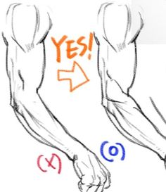 the image is a sketch of two arms demonstrating proper arm muscle anatomy for artists. the arm on the left has accurate muscle definition and flow, while the arm on the right has straight lines, which is incorrect.  a large orange arrow points to the left arm with "yes!" written beside it, while the right arm has "(o)" written beside it, indicating the correct answer.