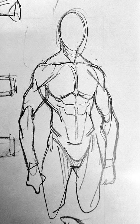 the image is a pencil sketch of a male torso, focusing on the musculature.  the drawing is done in a loose, gestural style, emphasizing the overall form and flow of the muscles rather than precise detail.  the head is left blank, and only the torso and upper arms are shown. the style suggests a quick sketch, possibly a study for a more finished piece. the lines are fluid and expressive, capturing movement and form rather than photorealistic accuracy.  the artist's attention to the anatomy is apparent.