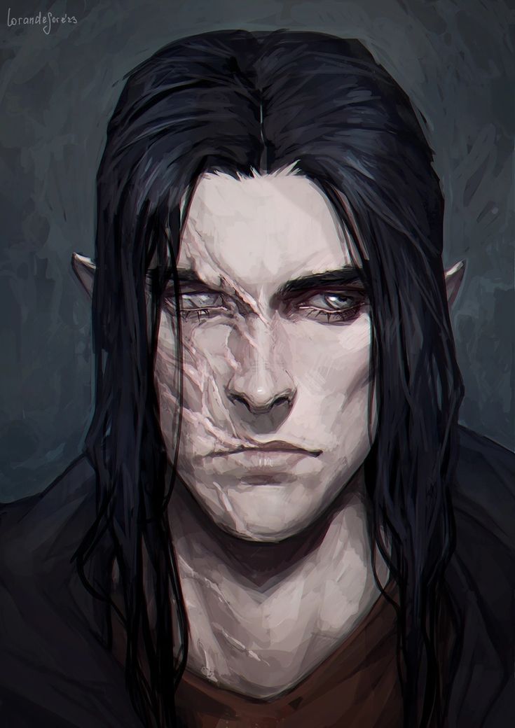 the image is a digital painting depicting a portrait of a male elf. he possesses long, dark hair that frames his face, which bears a significant scar across his left cheek and eye area. his expression is serious and somewhat brooding. his pointed ears are visible, and he is wearing a darkcolored hooded garment. the background is a muted dark gray, which emphasizes the figure and his features. the overall style is painterly, with visible brushstrokes giving it a slightly textured look. the mood is mysterious and contemplative.